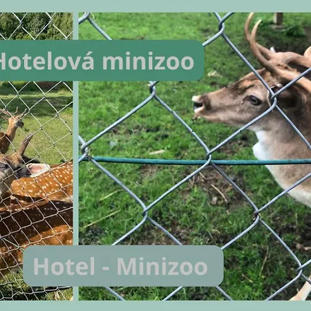 Lazensky Pyramida I Отель