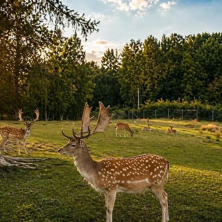 Lázeňský Pyramida 4*