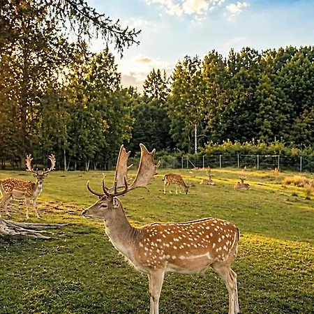 Lázeňský Pyramida 4*
